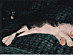 View full size picture