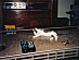 View full size picture