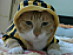 View full size picture