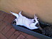 View full size picture