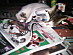 View full size picture