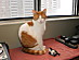 View full size picture