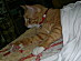 View full size picture