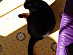 View full size picture