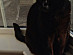 View full size picture