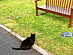 View full size picture
