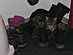 View full size picture
