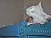 View full size picture