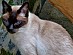 View full size picture