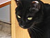 View full size picture