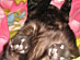 View full size picture