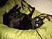 View full size picture