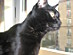 View full size picture