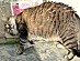 View full size picture
