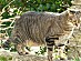 View full size picture
