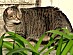 View full size picture