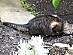 View full size picture