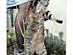 View full size picture