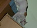 View full size picture