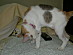 View full size picture