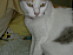 View full size picture