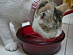 View full size picture