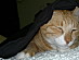View full size picture