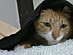 View full size picture