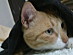 View full size picture