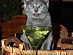 View full size picture