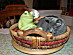View full size picture