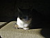 View full size picture