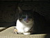 View full size picture
