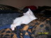 View full size picture