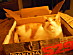 View full size picture