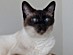 View full size picture
