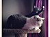 View full size picture