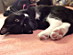 View full size picture