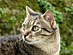 View full size picture