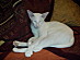 View full size picture