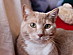 View full size picture