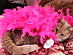 View full size picture