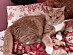 View full size picture