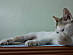 View full size picture