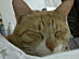 View full size picture