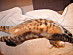 View full size picture