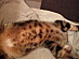 View full size picture