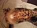 View full size picture