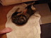 View full size picture