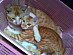 View full size picture
